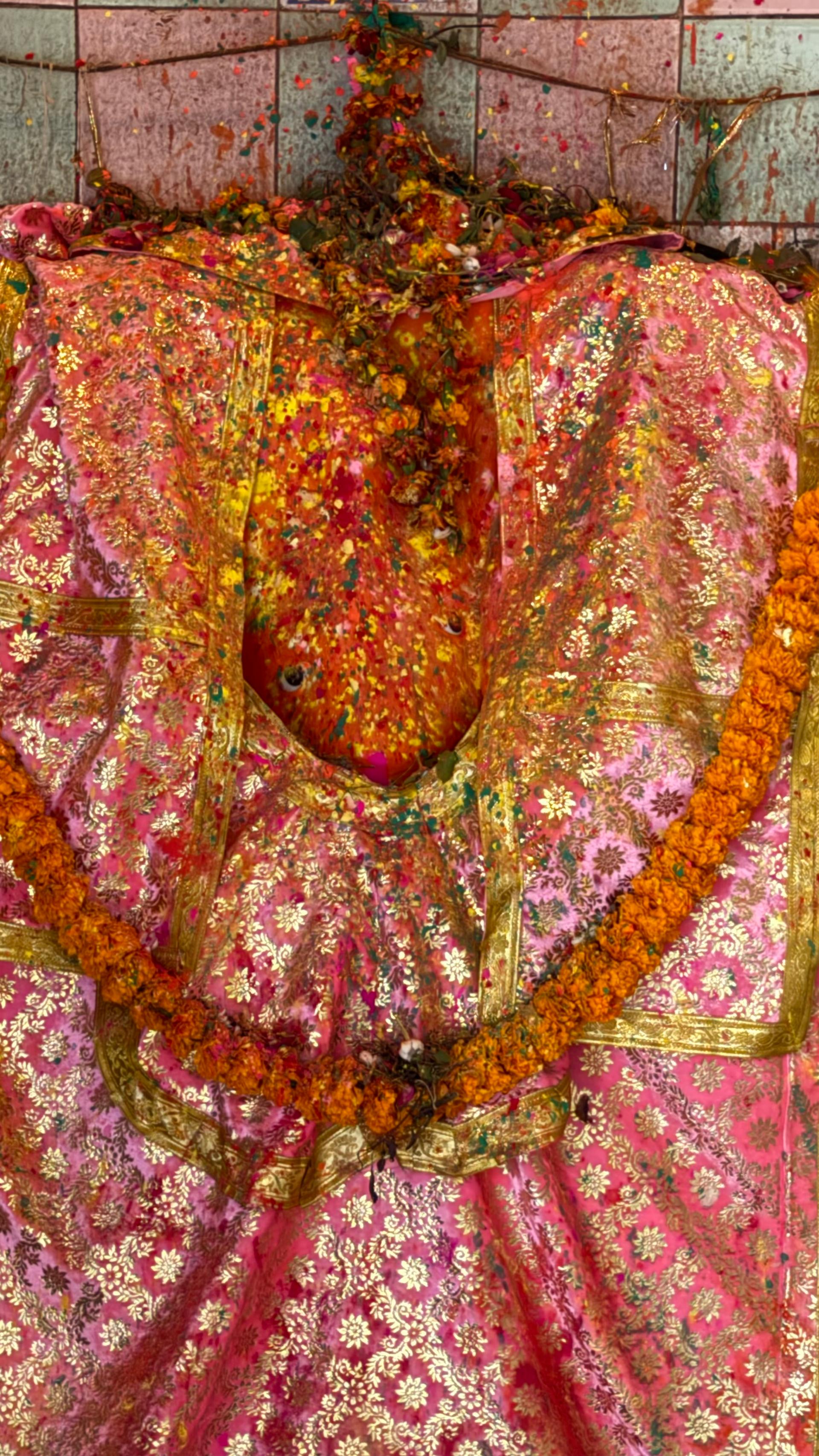 Jageshwar Mahadev Rangbhari Ekadashi 1