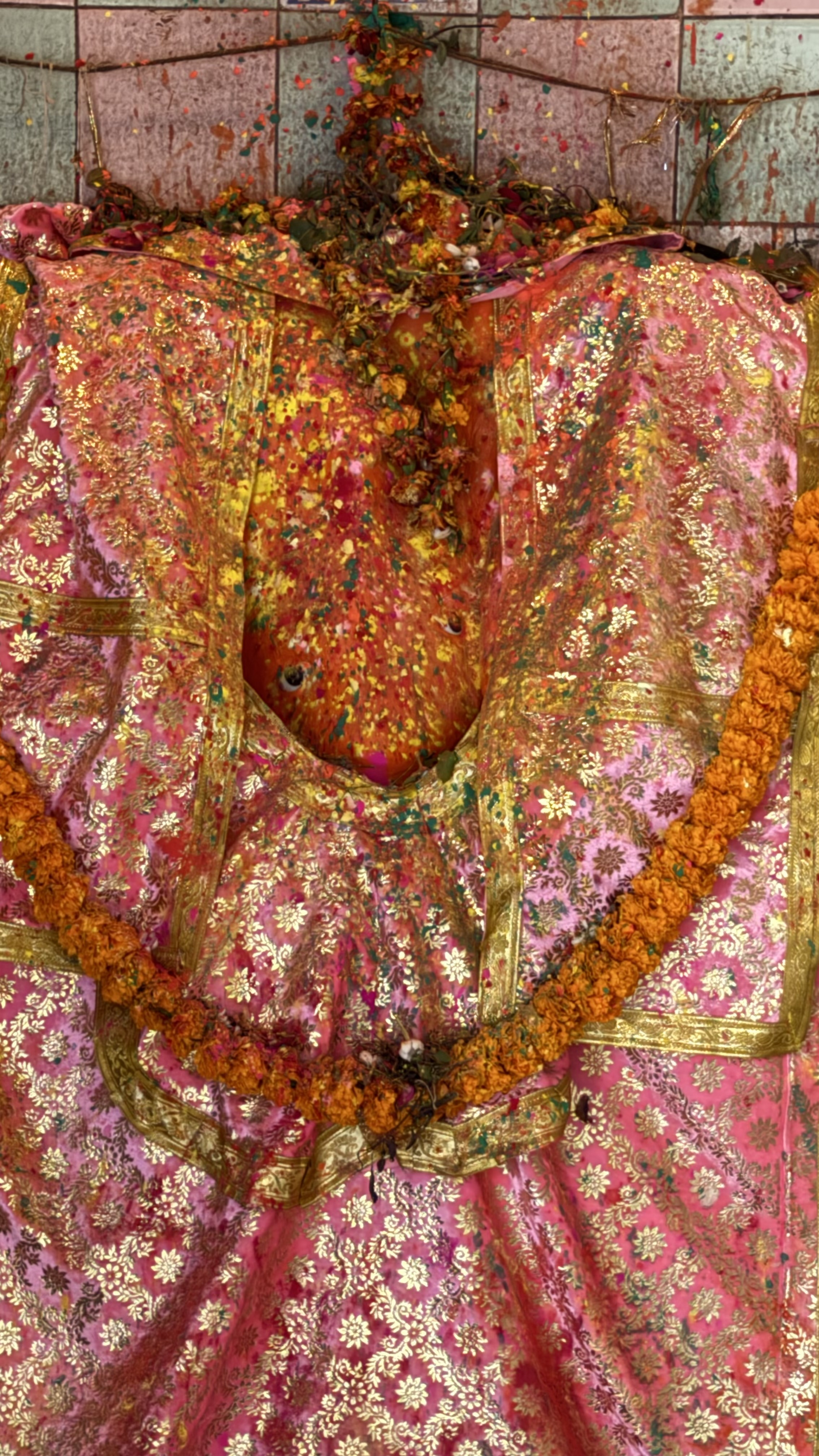 Rangbhari Ekadashi at Jageshwar Mahadev